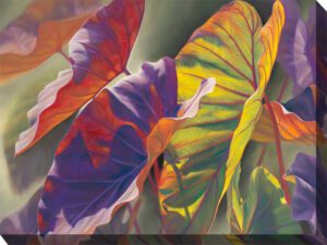 ELEPHANT EARS 40×30