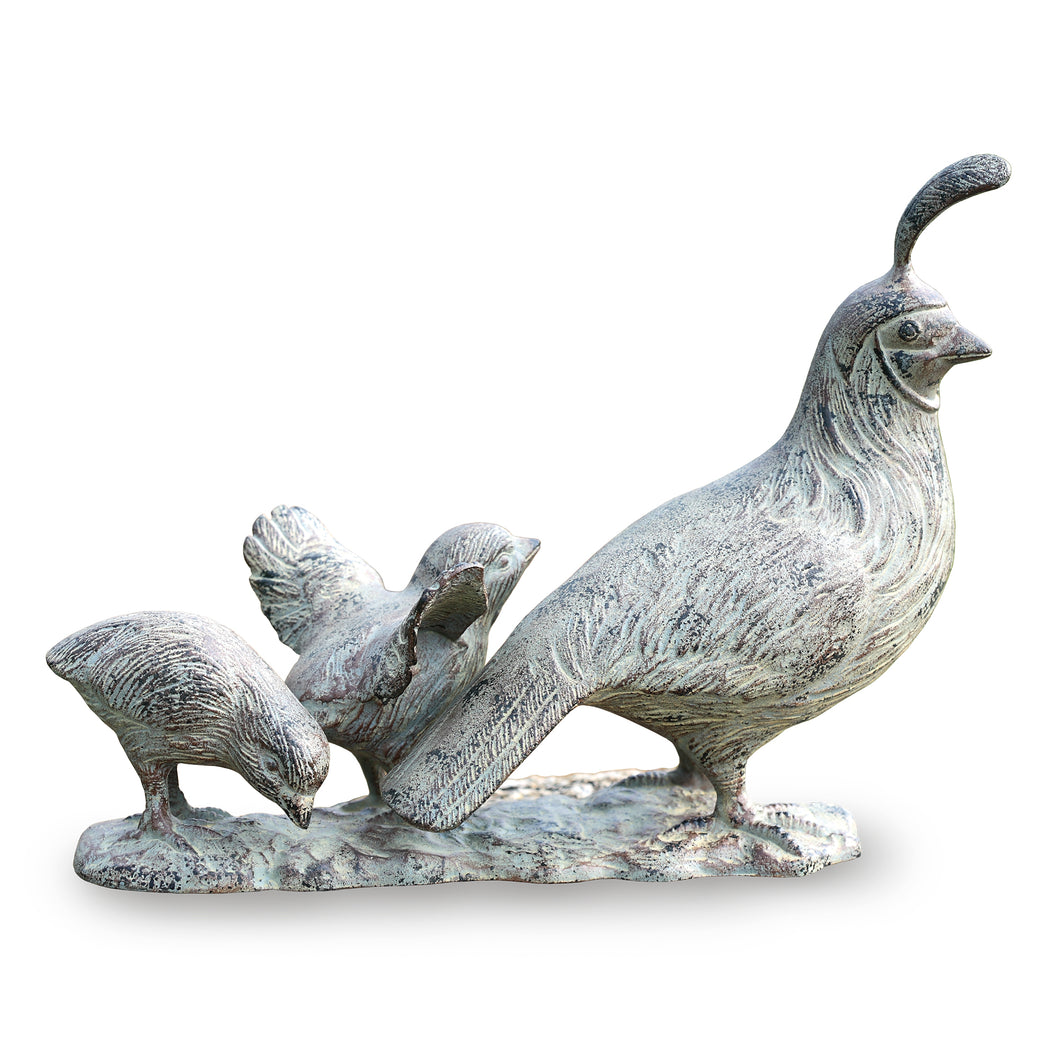 Quail Mom & Chicks