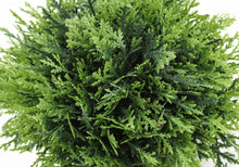Load image into Gallery viewer, 5" Tall, Artificial Plant, Grass, Indoor, Faux, Fake, Table, Greenery, Potted, Decorative (Set of 3) - Green
