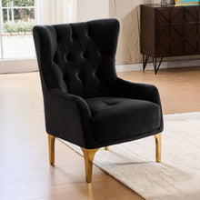 Load image into Gallery viewer, Lippa - Accent Chair
