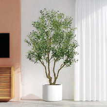 Load image into Gallery viewer, Artificial Olive Tree Large With Trunk, Indoor / Outdoor Decorative Plant For Living Room - Green
