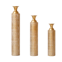 Load image into Gallery viewer, Metal Decorative Vases High Distress Metal Center Vases With Growing Vine Patterns, (Set of 3) Vases For Home Decoration - Gold

