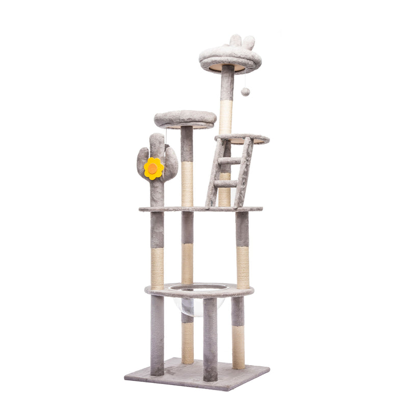 Cactus Cat Tree With Transparent Capsule