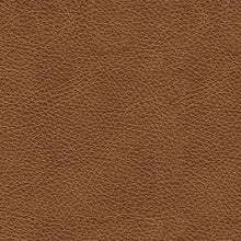 Load image into Gallery viewer, Emilia - 3 Pc. - 2-Piece Sectional Loveseat, Ottoman - Caramel
