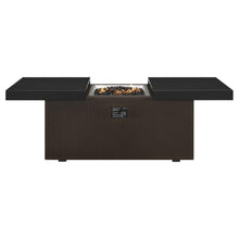 Load image into Gallery viewer, Plank and Hide 24 Inch x 48 Inch Rectangle Functional Propane Firepit -

