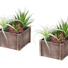 Load image into Gallery viewer, Artificial Succulent, Table Decor (Set of 2) - Green / Dark Brown
