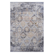 Load image into Gallery viewer, Payas - 6' X 9' Traditional Area Rug - Multi
