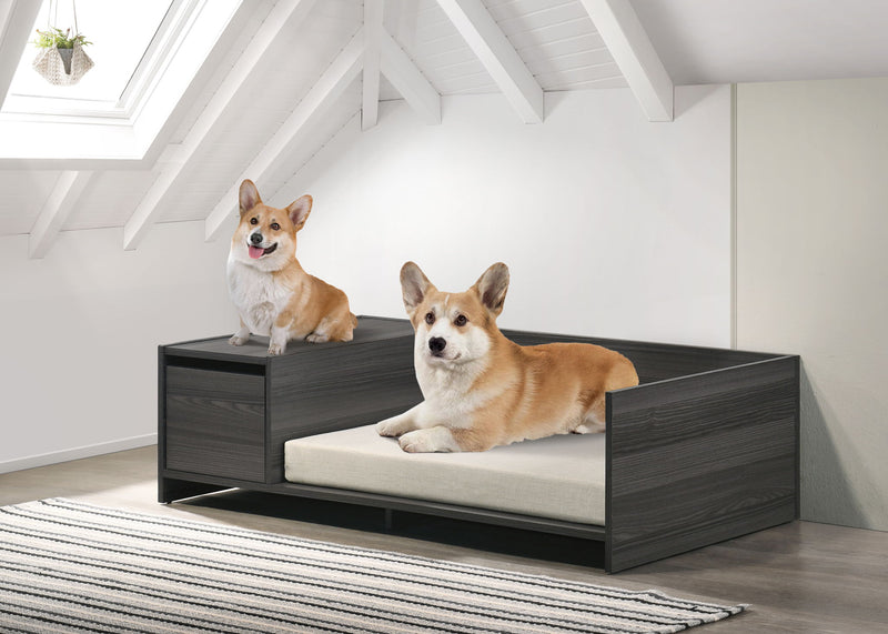 Esme - Wide Comfy Pet Bed With Cushion And Side Storage Compartment - Dark Gray
