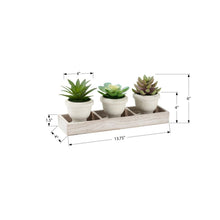 Load image into Gallery viewer, Artificial Succulent, Table Decor (Set of 3) - Green / Beige
