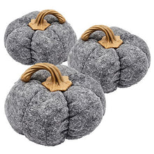 Load image into Gallery viewer, Pumpkin Ornament Decor For Holiday Harvest Festival Fall Festival &amp; Thanksgiving (Set of 3)
