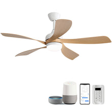 Load image into Gallery viewer, Ceiling Fan &amp; DC Motor And Integrated Light
