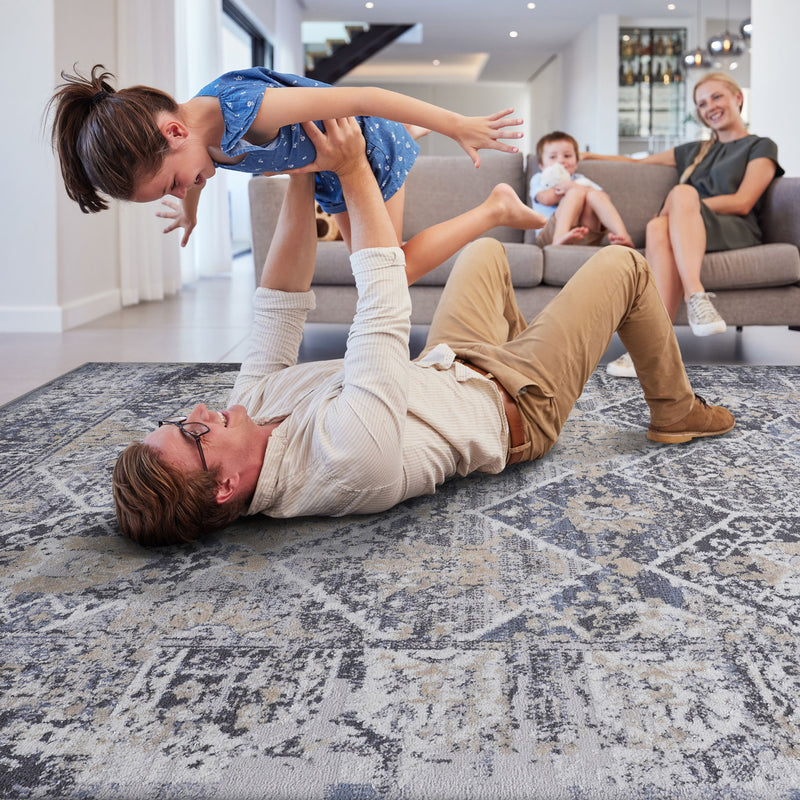 Payas - 6' X 9' Traditional Area Rug - Gray / Blue