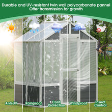 Load image into Gallery viewer, Greenhouse, Wooden Greenhouse Polycarbonate Garden Shed For Plants, Walk-In Outdoor Plant Gardening Greenhouse For Patio Backyard Lawn, Grow House With Front Entry Door - White / Gray
