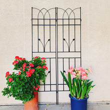 Load image into Gallery viewer, Metal Garden Trellis Rustproof For Climbing Plants Outdoor Flower Support
