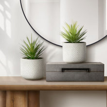 Load image into Gallery viewer, Artificial Succulent, Table Decor (Set of 2) - Green - Plastic
