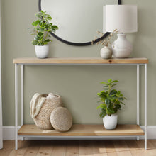 Load image into Gallery viewer, Artificial Ficus Elastica Plant (Set of 2)
