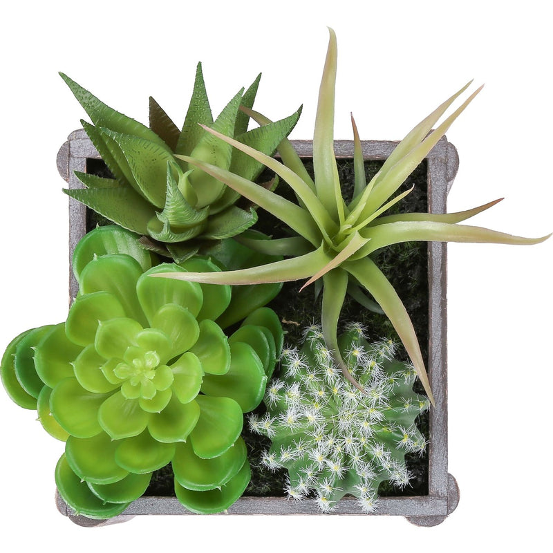 Artificial Succulent, Table Decor (Set of 2) - Green Plastic