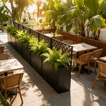 Load image into Gallery viewer, Tall Planter Raised Garden Bed With Trellis
