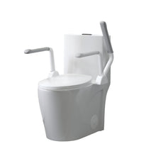 Load image into Gallery viewer, Upgraded Design Armrest, With Glossy Gw 007 1 Piece Toilet With Tornado Flush, Soft Close Seat, Dual Flush Map 1000G, Comfort Chair Seat - Gloss White
