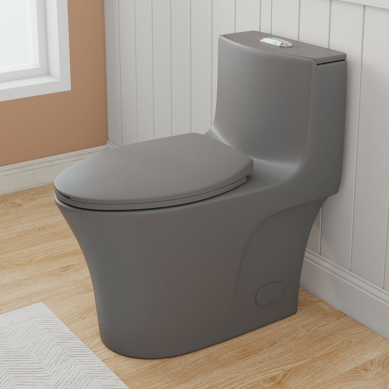 1 Piece Toilet With Dual Flush And Soft Closing Seat