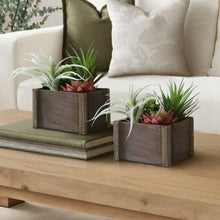 Load image into Gallery viewer, Artificial Succulent, Table Decor (Set of 2) - Green / Dark Brown
