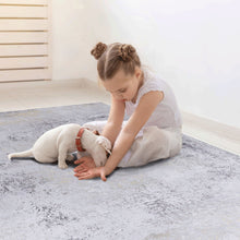 Load image into Gallery viewer, Maval - Machine Washable Area Rug
