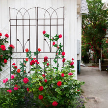 Load image into Gallery viewer, Metal Garden Trellis Rustproof For Climbing Plants Outdoor Flower Support
