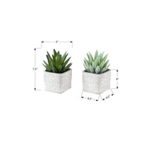 Load image into Gallery viewer, Artificial Succulent, Table Decor (Set of 2) - Green / Gray
