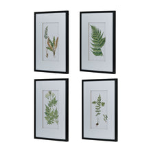 Load image into Gallery viewer, Botanical And Fern Wall Art, Wall Decor For Living Room Dining Room Entryway (Set of 4) - White / Black
