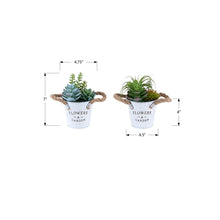 Load image into Gallery viewer, Artificial Succulent, Table Decor (Set of 2) - Green / White
