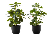 Load image into Gallery viewer, 14" Tall, Artificial Plant, Ficus, Indoor, Faux, Fake, Table, Greenery, Potted, Decorative (Set of 2) - Green / Black
