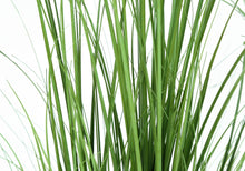 Load image into Gallery viewer, 47" Tall, Artificial Plant, Grass Tree, Indoor, Faux, Fake, Floor, Greenery, Potted, Real Touch, Decorative - Green / Black
