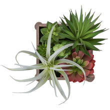 Load image into Gallery viewer, Artificial Succulent, Table Decor (Set of 2) - Green / Dark Brown
