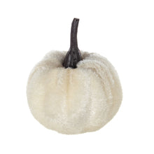 Load image into Gallery viewer, Velvety Pumpkin In Mesh Bag, Bag / 12, For Holiday Harvest Festival Fall Festival &amp; Thanksgiving (Set of 4) - White

