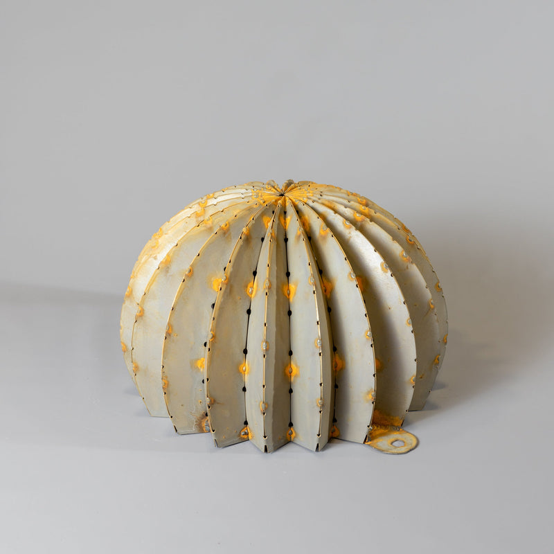 Golden Barrel -Small