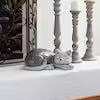 Load image into Gallery viewer, Outdoor Sleeping Cat
