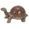 Litton Lane Sculpture Turtle