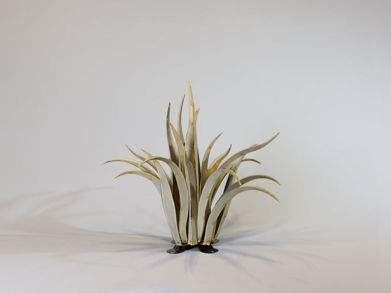 Octopus Agave-Large