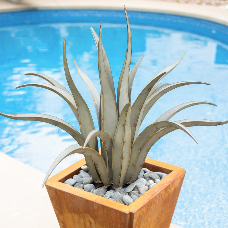 Octopus Agave-Small