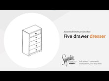 Load and play video in Gallery viewer, Paxberry - Chest
