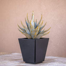 Load image into Gallery viewer, Sharkskin Agave-Large
