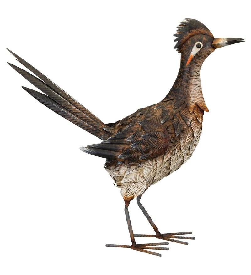 Sienna Roadrunner Décor 18"-Up