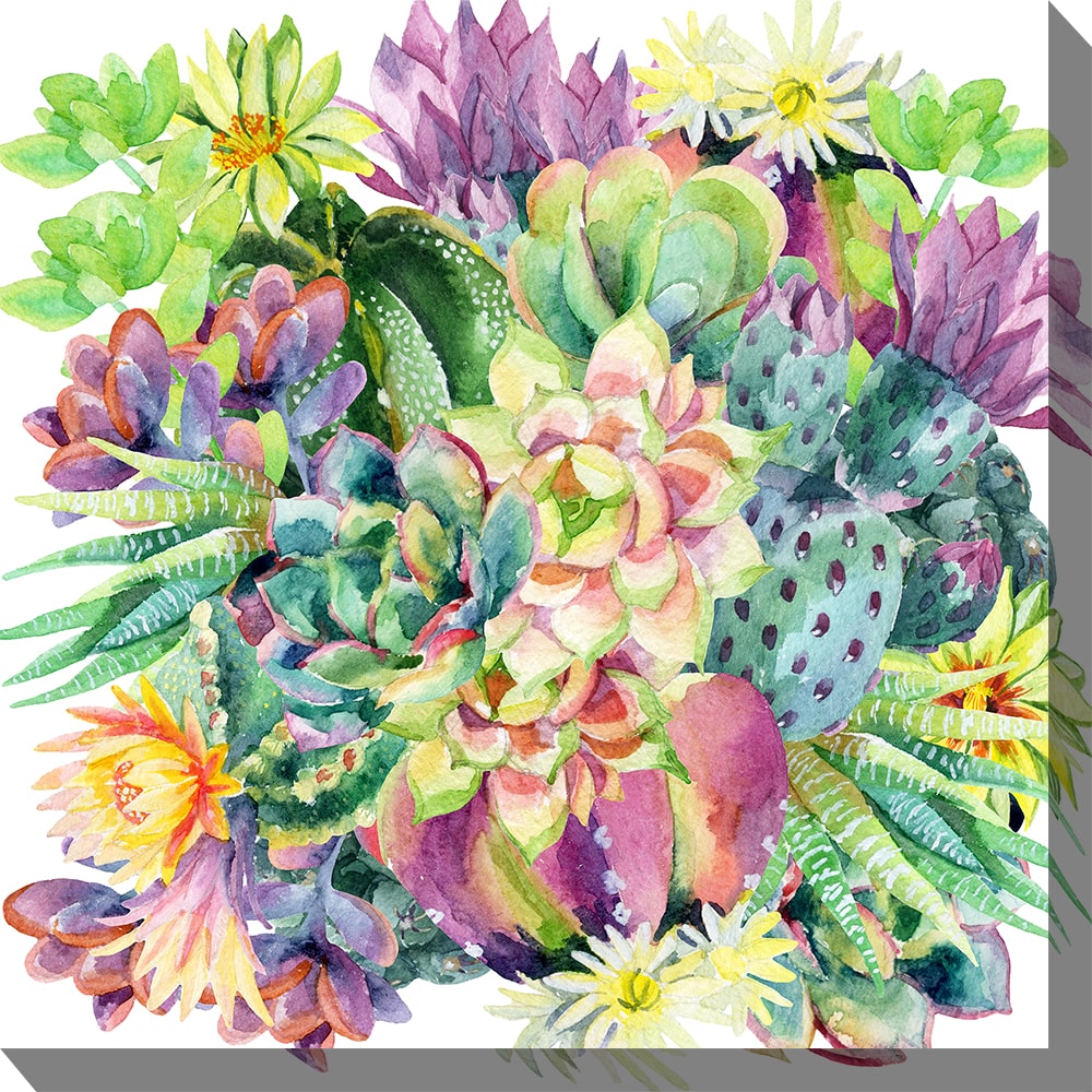 Succulent Blooms 24x24