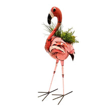 Load image into Gallery viewer, Barnyard Flamingo Planter/ Beverage
