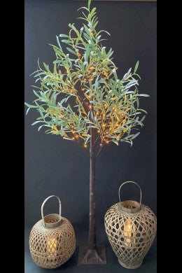 72" Tall Olive Tree