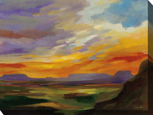Sonoran Sunset 30x40